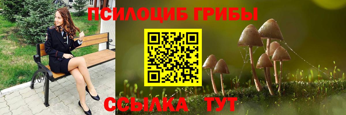 Галлюциногенные грибы мицелий  закладки  Волоколамск  Псилоцибиновые грибы Magic Shrooms  Вход с VPN 